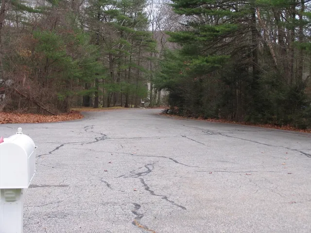 a view of a yard with a tree