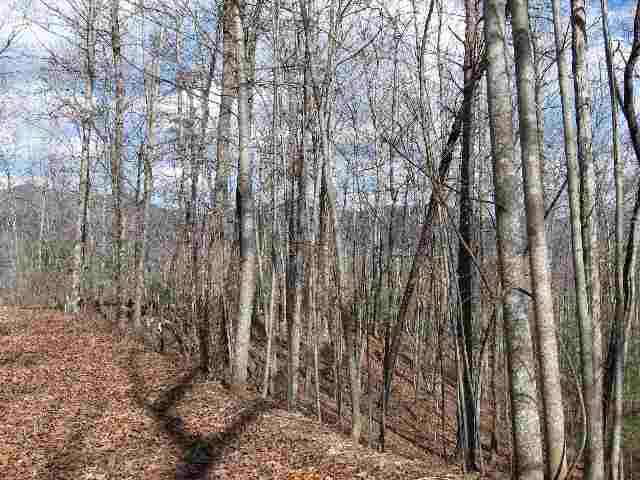 631 Ridge Springs Road Cleveland, SC 29635 - Photo 14 of 21