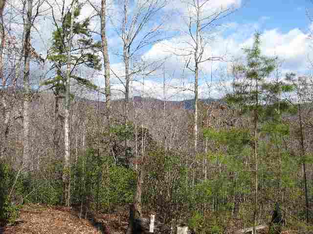 631 Ridge Springs Road Cleveland, SC 29635 - Photo 8 of 21