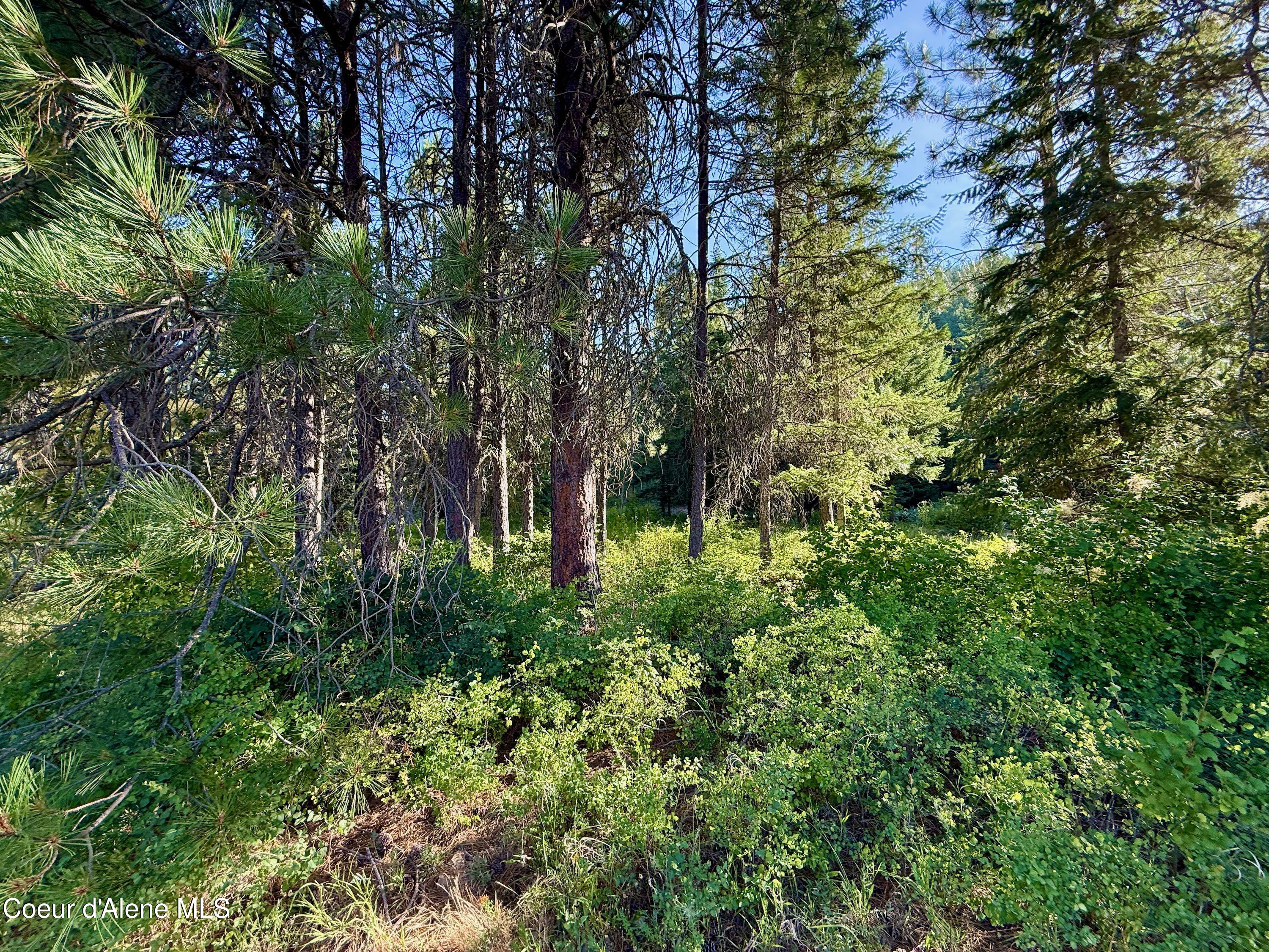 869 Eagle Ridge Lane Kingston, ID 83839 - Photo 23 of 27 19