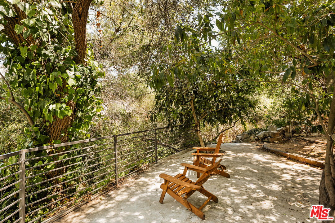 a view of a yard with a tree