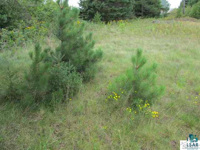 Lot 5 Beach Road Port Wing, WI 54865 - Photo 9 of 12 Gallery Image 9