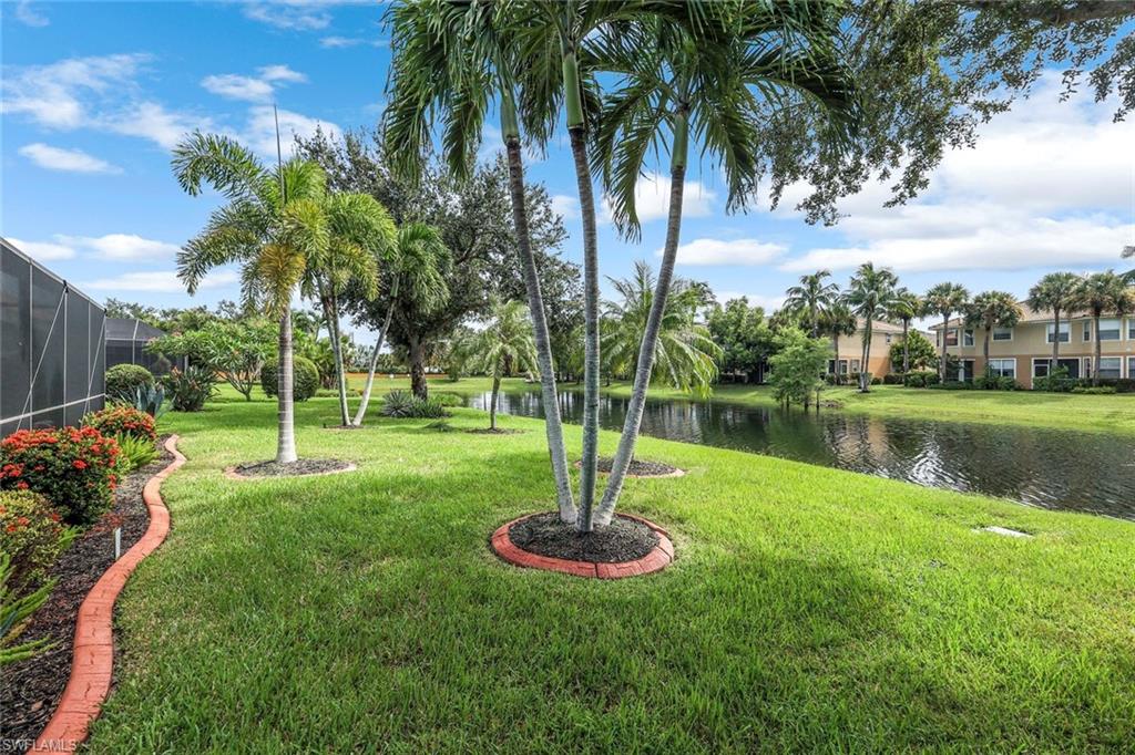 20050 Rookery Drive Estero, FL 33928 - Photo 31 of 45 a garden with plants and palm trees