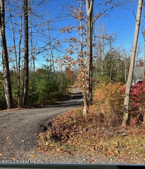 75 South Shore Road Providence, NY 12134 - Photo 1 of 18 thumbnail_IMG_1267