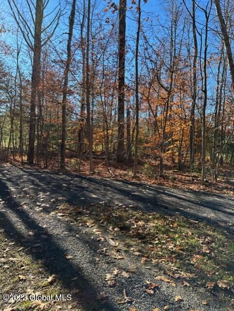 75 South Shore Road Providence, NY 12134 - Photo 3 of 18 thumbnail_IMG_1250