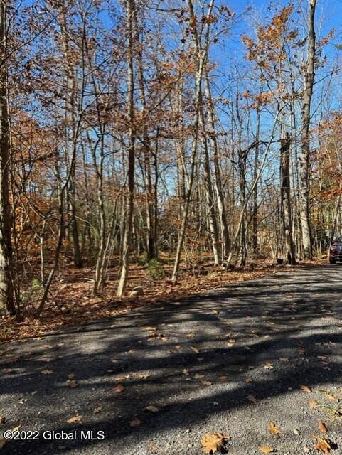 75 South Shore Road Providence, NY 12134 - Photo 4 of 18 thumbnail_IMG_1251