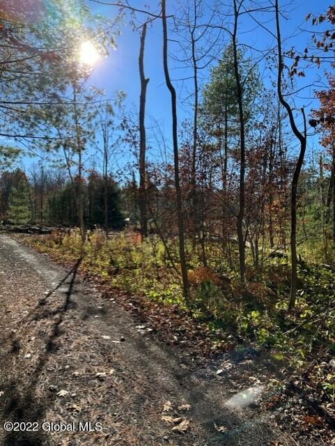 75 South Shore Road Providence, NY 12134 - Photo 5 of 18 thumbnail_IMG_1252