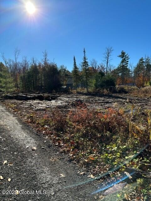 75 South Shore Road Providence, NY 12134 - Photo 6 of 18 thumbnail_IMG_1253