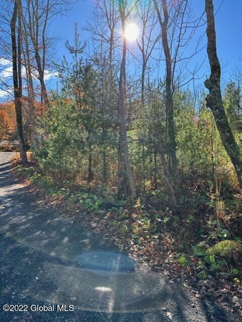 75 South Shore Road Providence, NY 12134 - Photo 7 of 18 thumbnail_IMG_1255