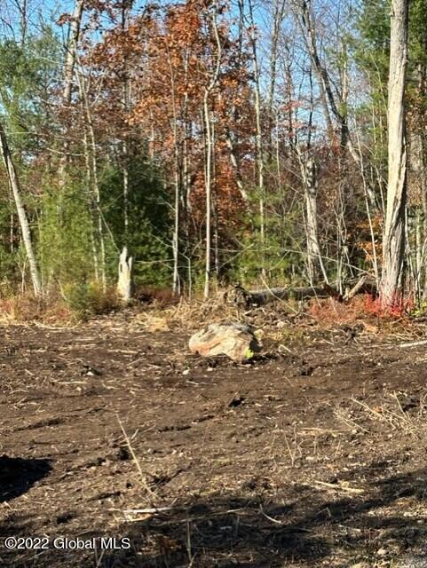 75 South Shore Road Providence, NY 12134 - Photo 9 of 18 thumbnail_IMG_1258