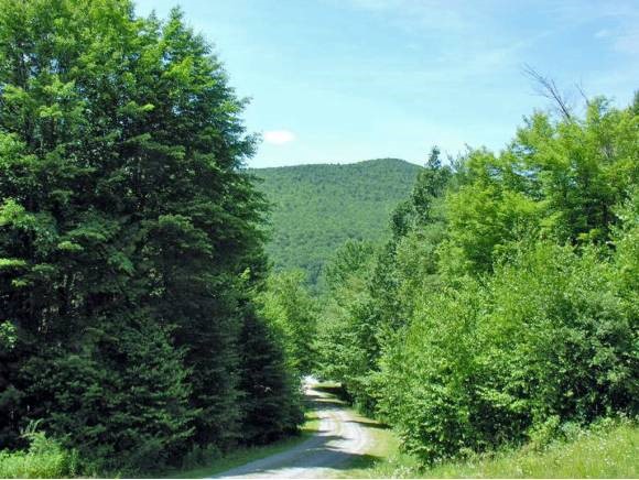25 Valley View Road Arlington, VT 05250 - Photo 7 of 21 Gallery Image 7