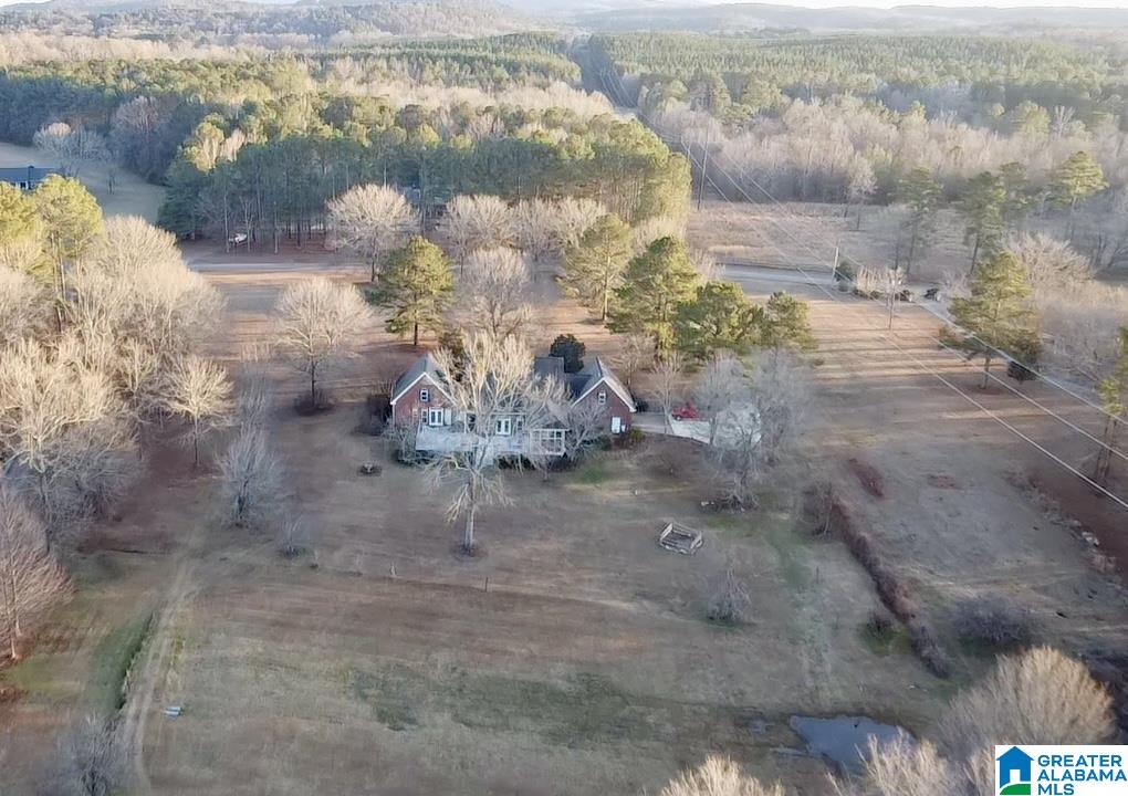 143 River Run Road Childersburg, AL 35044 - Photo 49 of 50