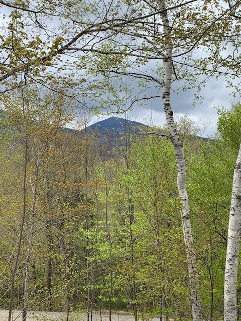 2027 Ridgeview Road Kingfield, ME 04947 - Photo 7 of 23 View