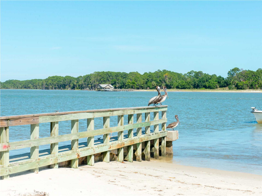 2688 Indian Pass Road Port St. Joe, FL 32456 - Photo 11 of 17
