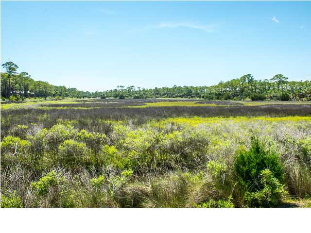 2688 Indian Pass Road Port St. Joe, FL 32456 - Photo 13 of 17