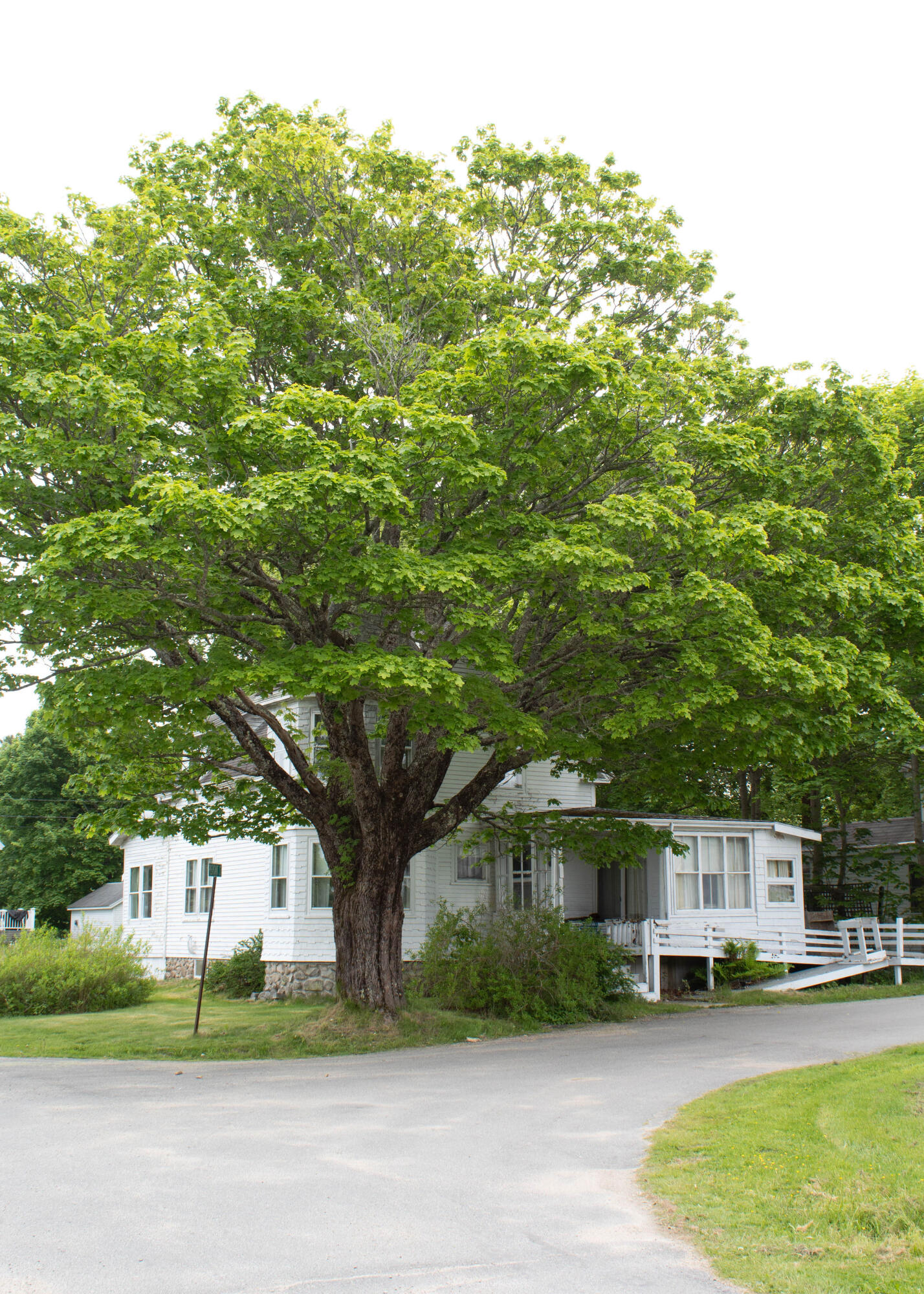 25 Pleasant Street Vinalhaven, ME 04863 - Photo 11 of 32 IMG_6591