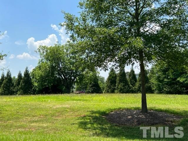 25 Tamaran Ct Spring Spring Hope, NC 27882 - Photo 22 of 40