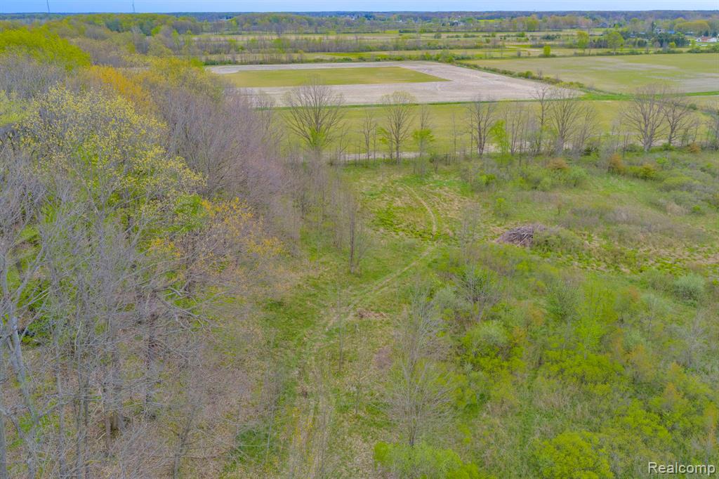 0 Martin Road Capac, MI 48014 - Photo 20 of 20