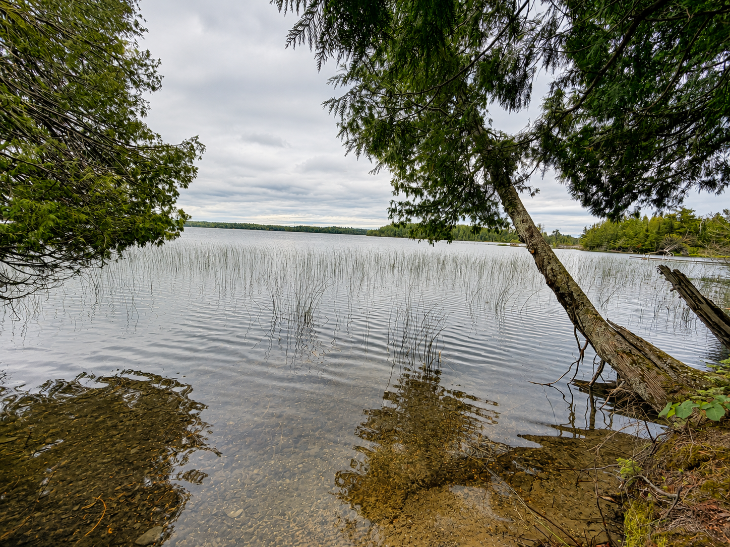 50573 Evergreen Point Road Bigfork, MN 56628 - Photo 41 of 47
