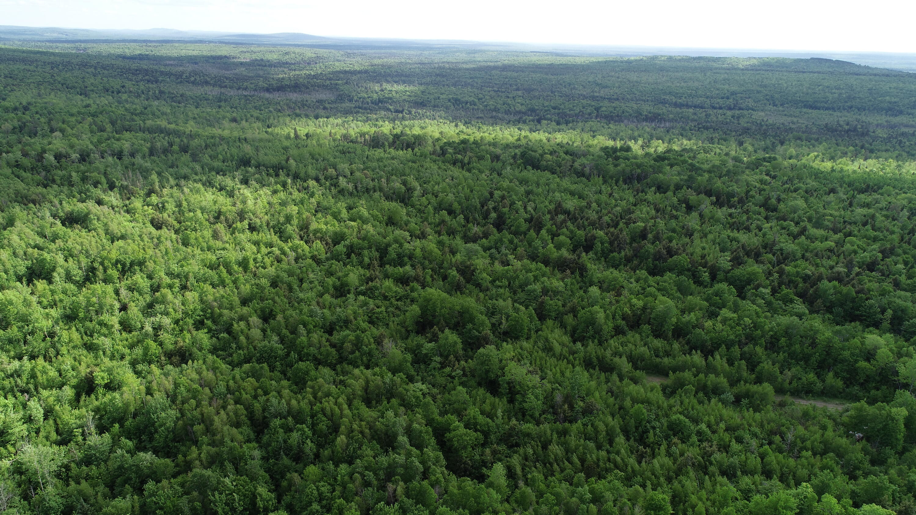 Lot 5 Harris Hill Road Weston, ME 04424 - Photo 20 of 21 DJI_0788