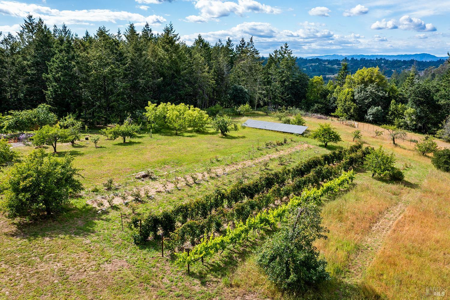 2630 Burnside Road Sebastopol, CA 95472 - Photo 73 of 81