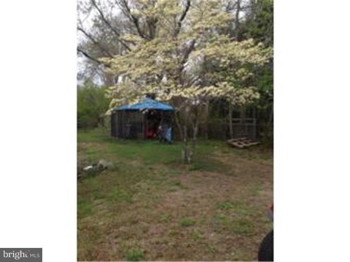 381 Porchtown Road Newfield, NJ 08344 - Photo 14 of 16 Side Yard