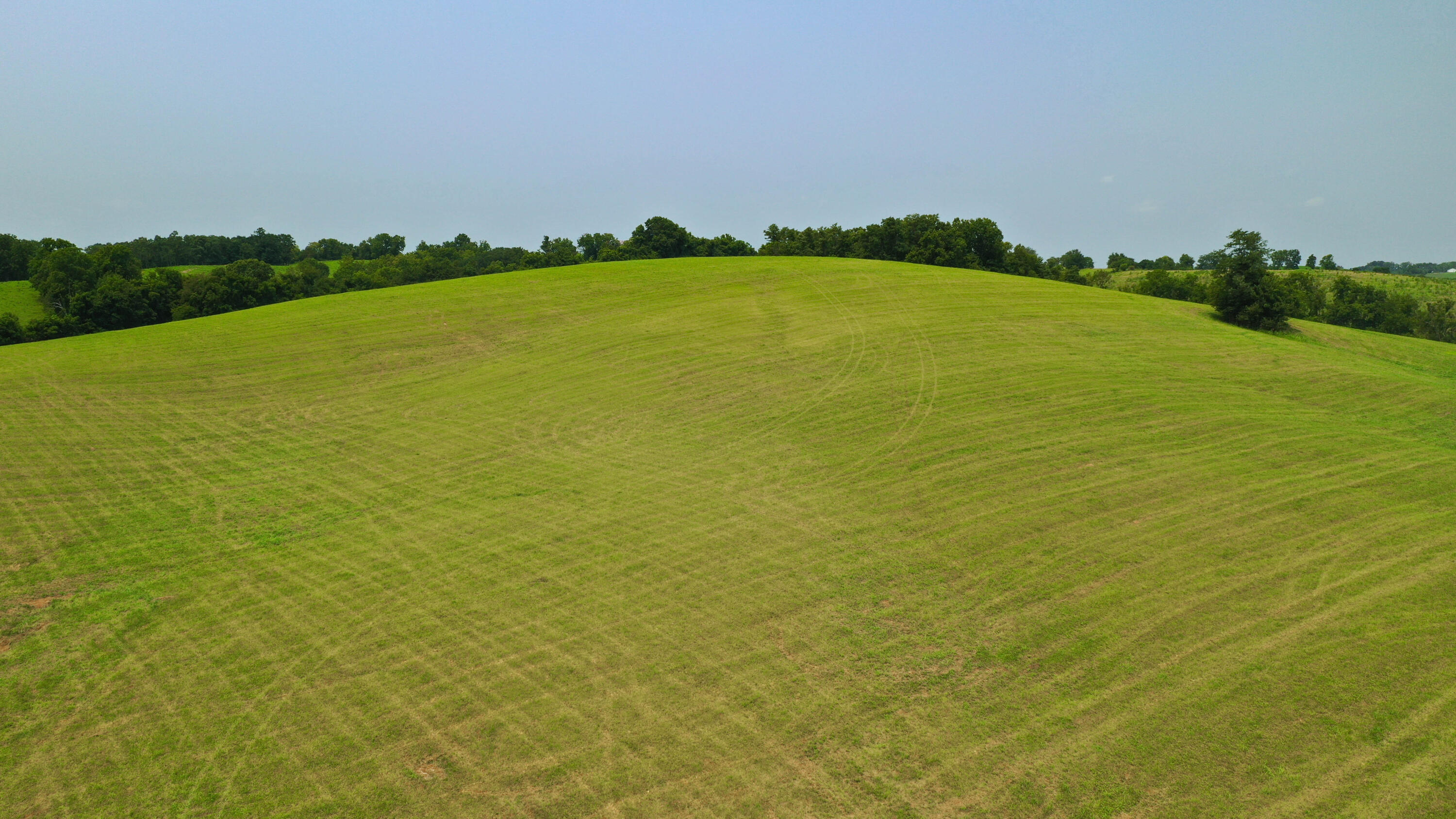 DJI_0896