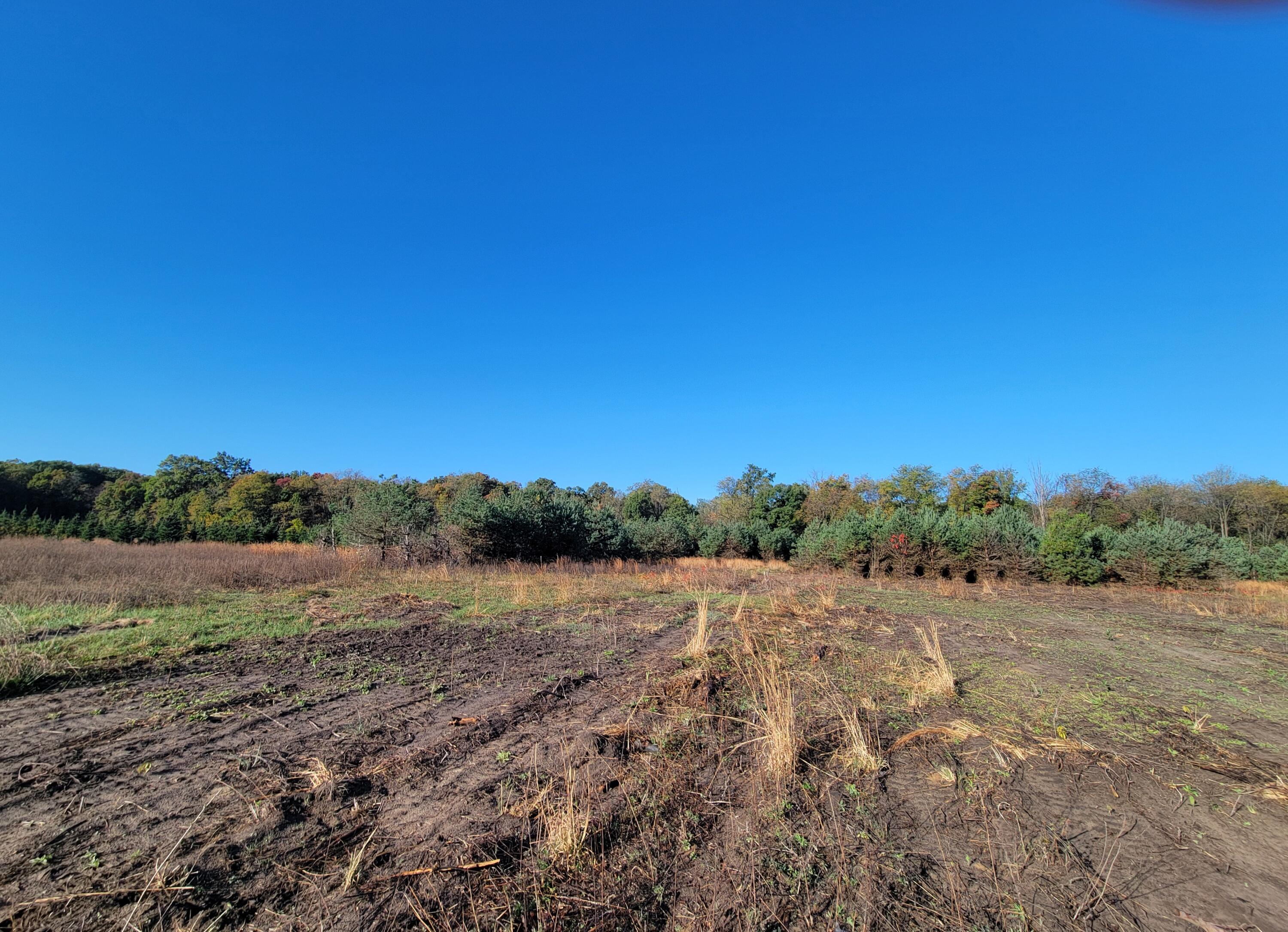 10194 North 950 West Demotte, IN 46310 - Photo 5 of 6 a view of a field with trees in the background