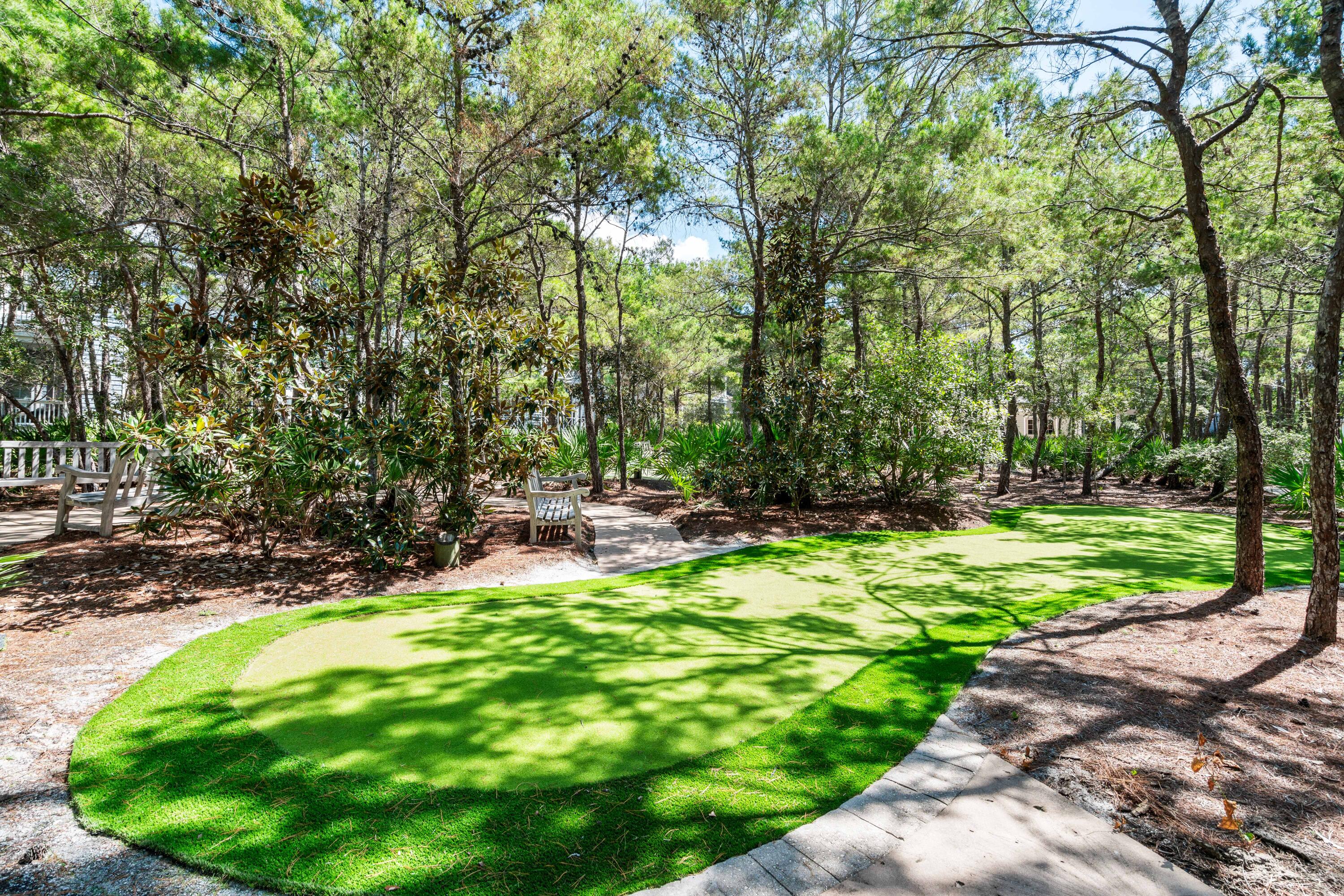 10 Coopersmith Lane Inlet Beach, FL 32461 - Photo 56 of 69 a view of a backyard with large trees