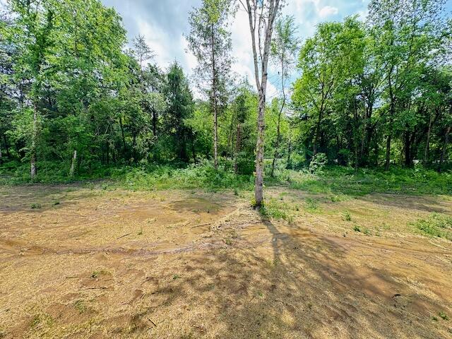 736 Old Cemetery Road Madisonville, TN 37354 - Photo 35 of 36 IMG_6591