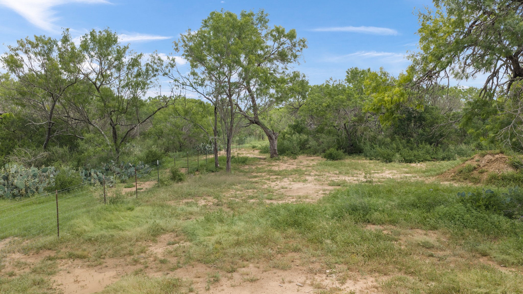 11970 Sulphur Springs Road Adkins, TX 78101 - Photo 39 of 50