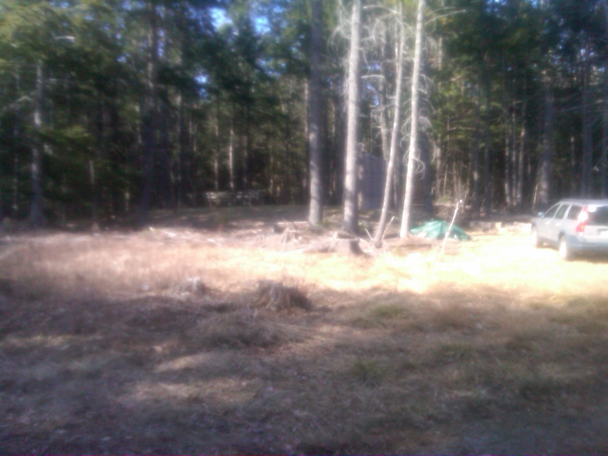 3 Heath Road Mariaville, ME 04605 - Photo 7 of 12 Mariaville-20120406-00530