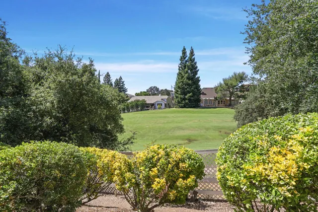 a view of a garden with a building in the background