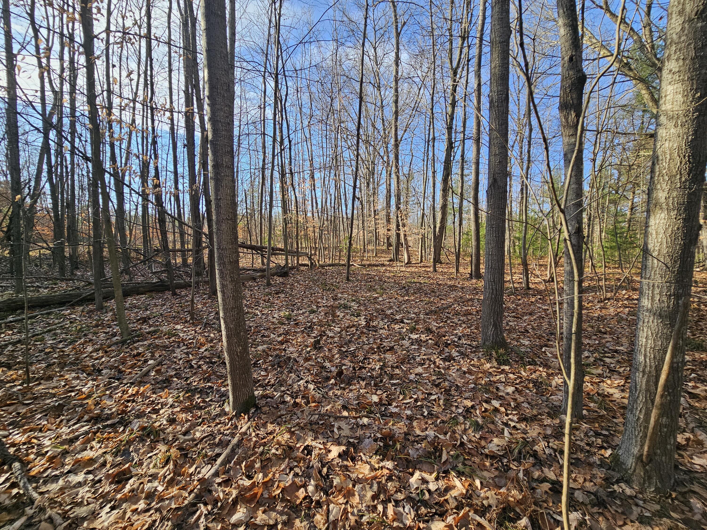 5024 Wayne Road Pentwater, MI 49449 - Photo 13 of 22 Wayne 15
