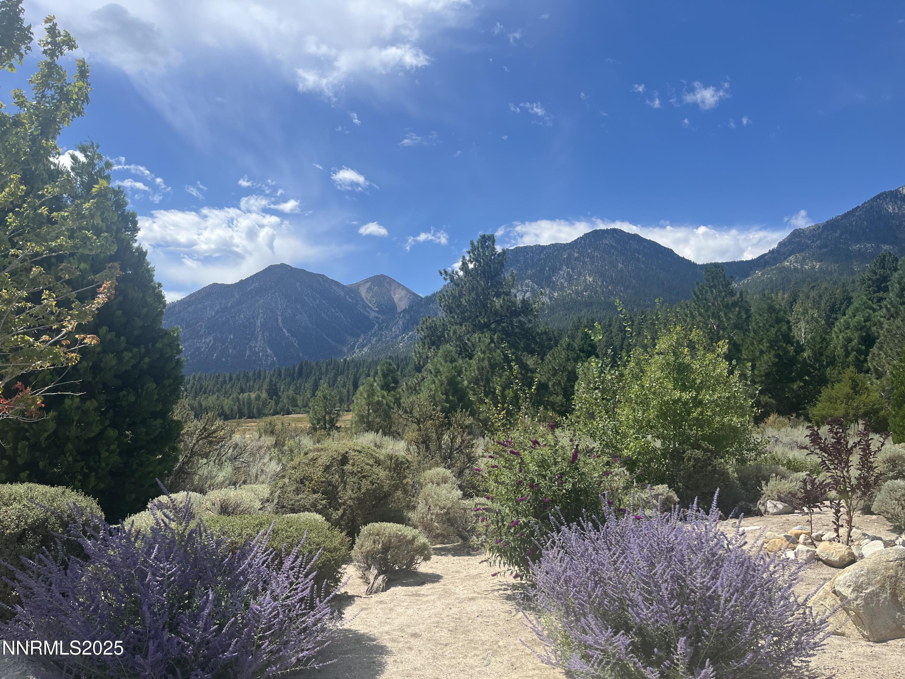 233 Sierra Country Circle Gardnerville, NV 89460 - Photo 11 of 13 a view of a house with a street