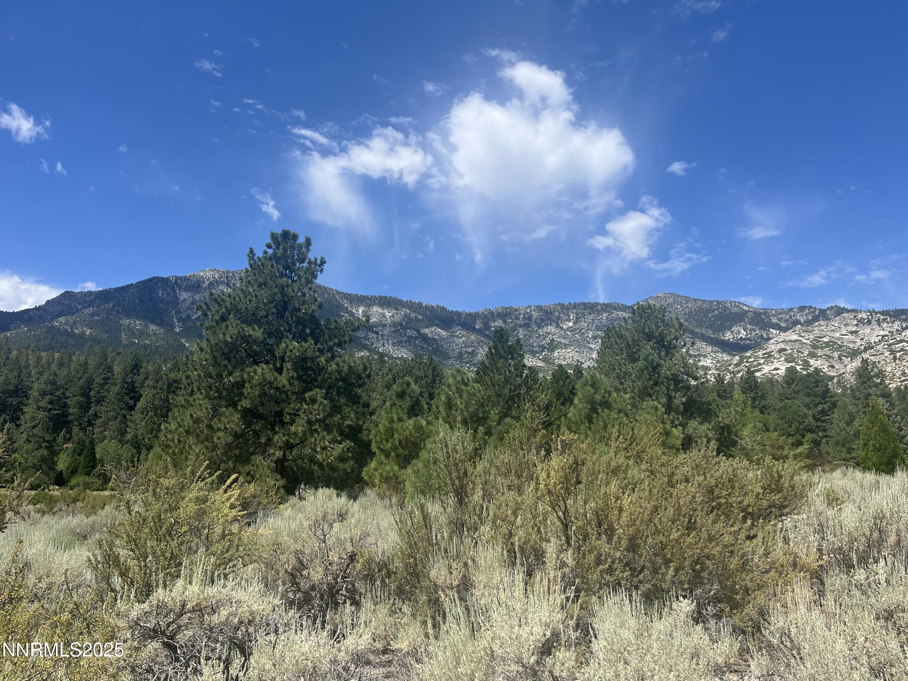 233 Sierra Country Circle Gardnerville, NV 89460 - Photo 12 of 13 a view of a lake in middle of green field