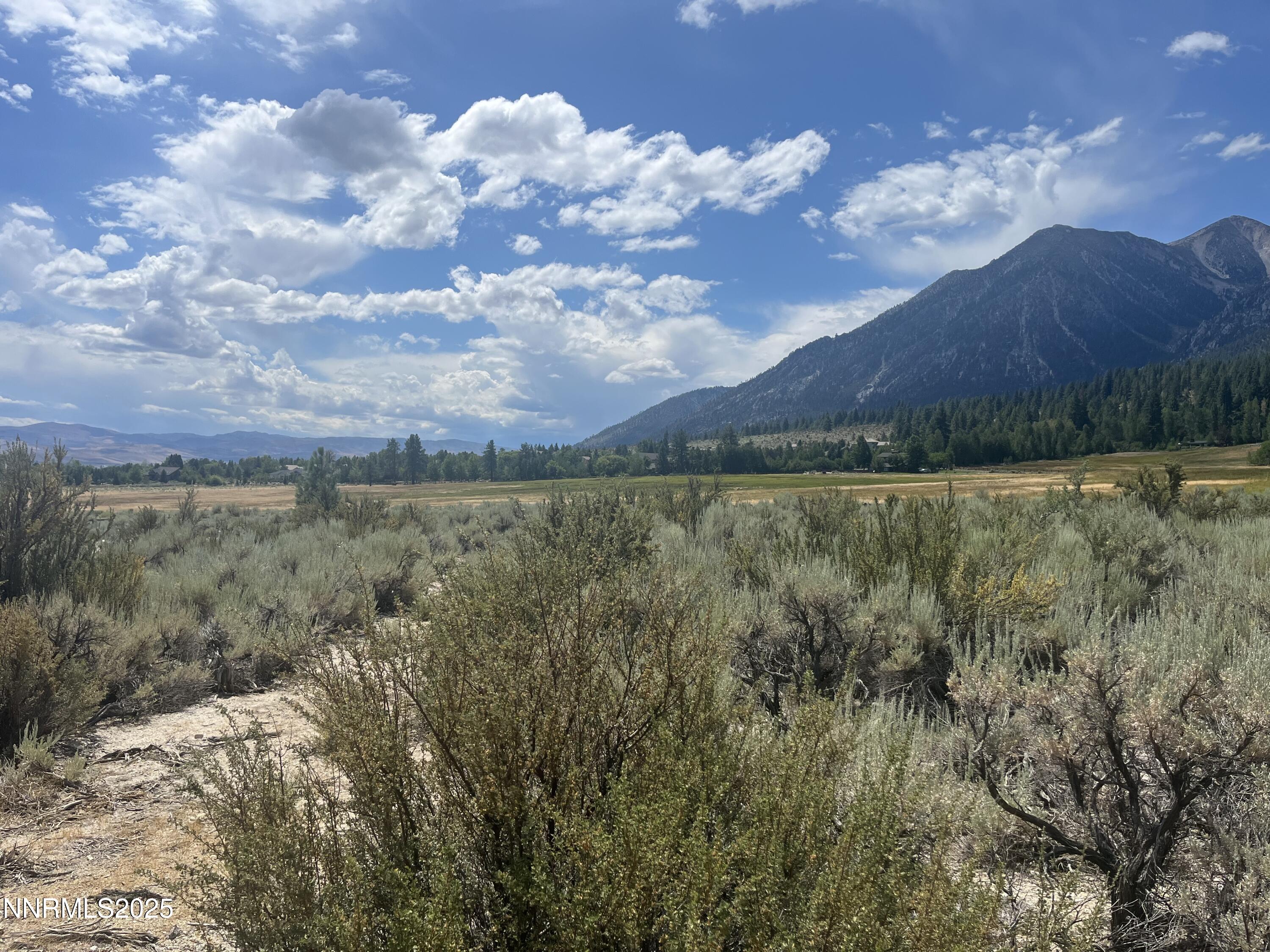233 Sierra Country Circle Gardnerville, NV 89460 - Photo 13 of 13 a view of lake and mountain