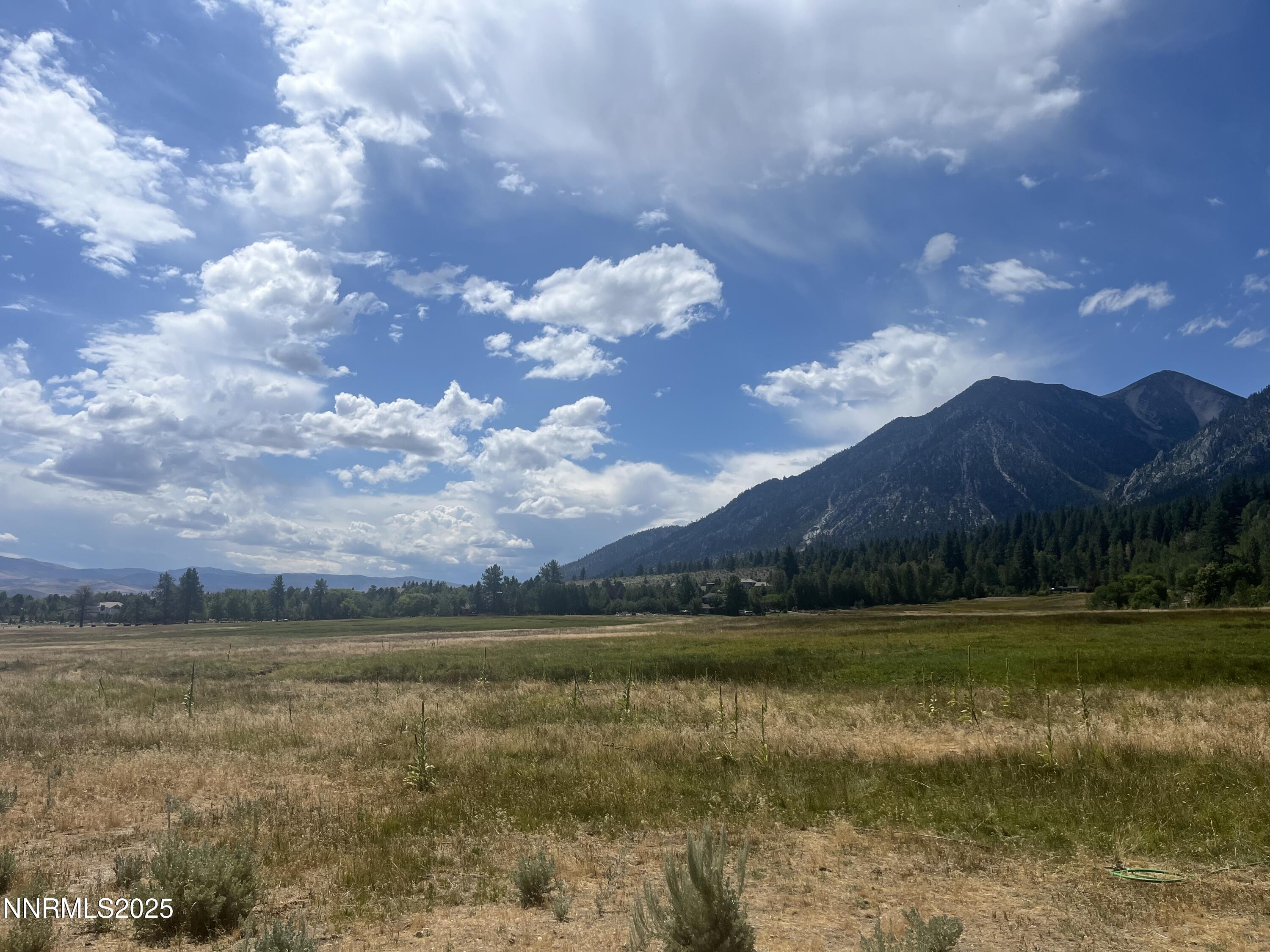 233 Sierra Country Circle Gardnerville, NV 89460 - Photo 5 of 13 a view of a lake in middle of the town