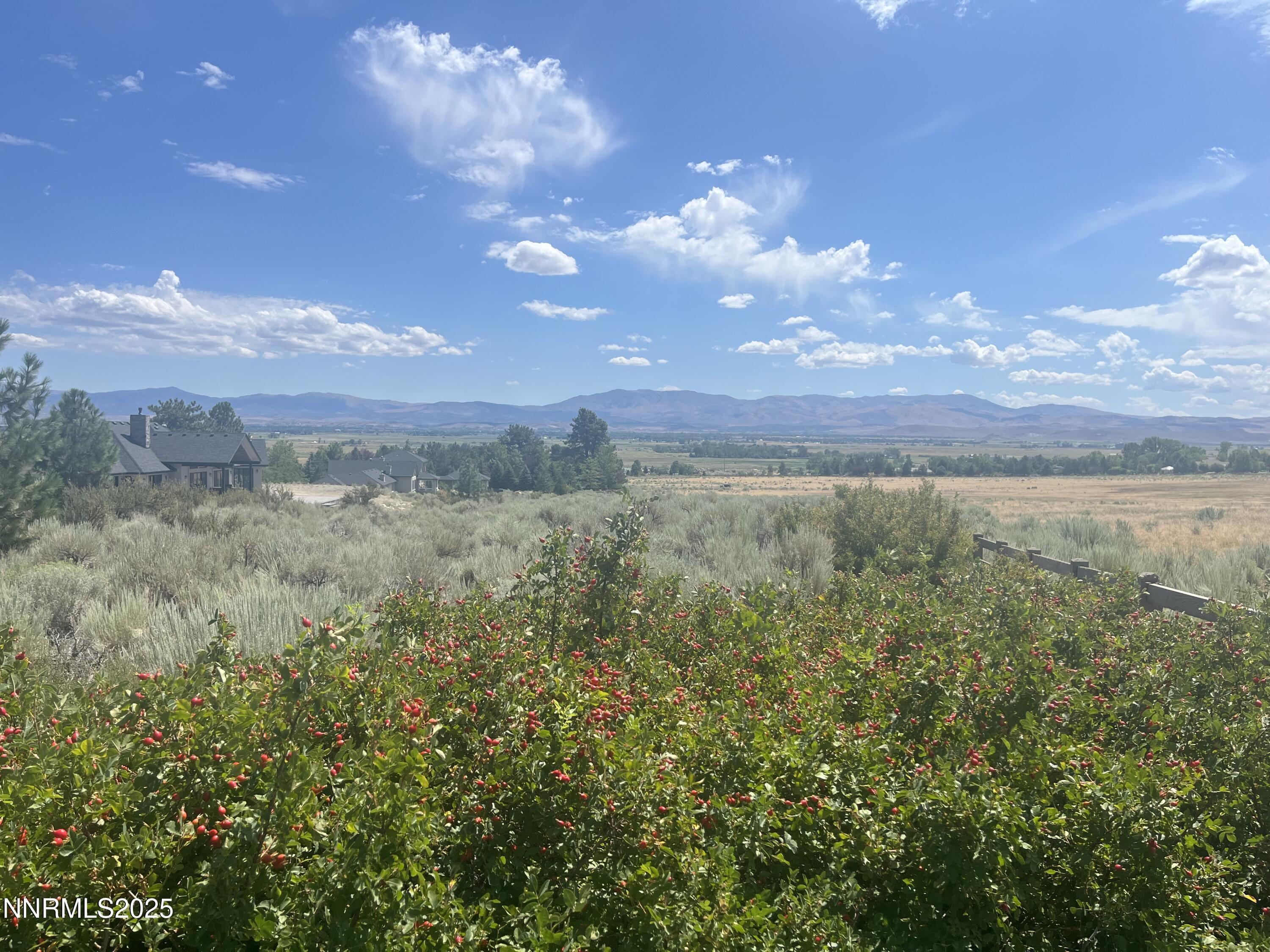 233 Sierra Country Circle Gardnerville, NV 89460 - Photo 7 of 13 a view of a city with lots of green space