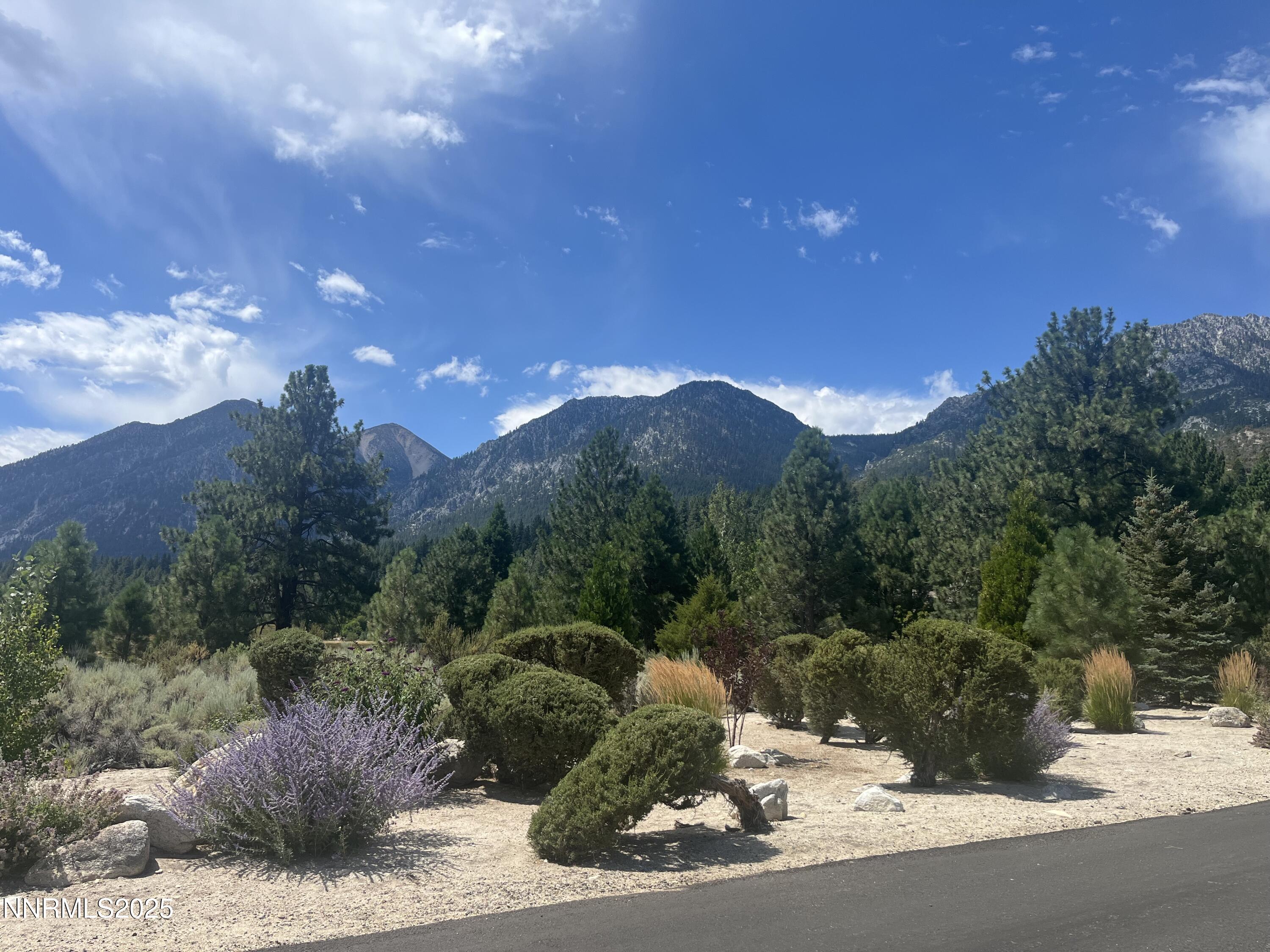 233 Sierra Country Circle Gardnerville, NV 89460 - Photo 9 of 13 a view of a street with a building in the background