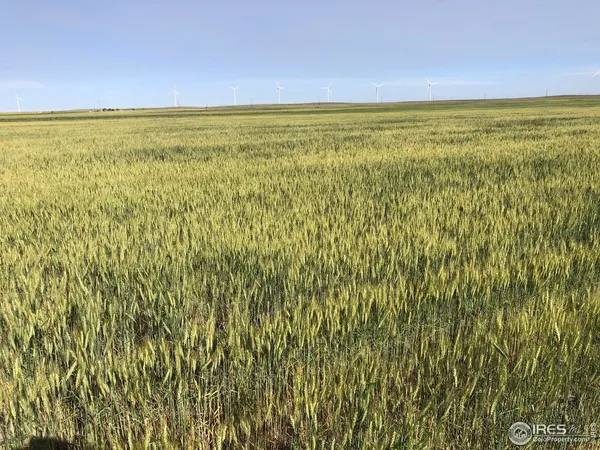 a view of an ocean and beach