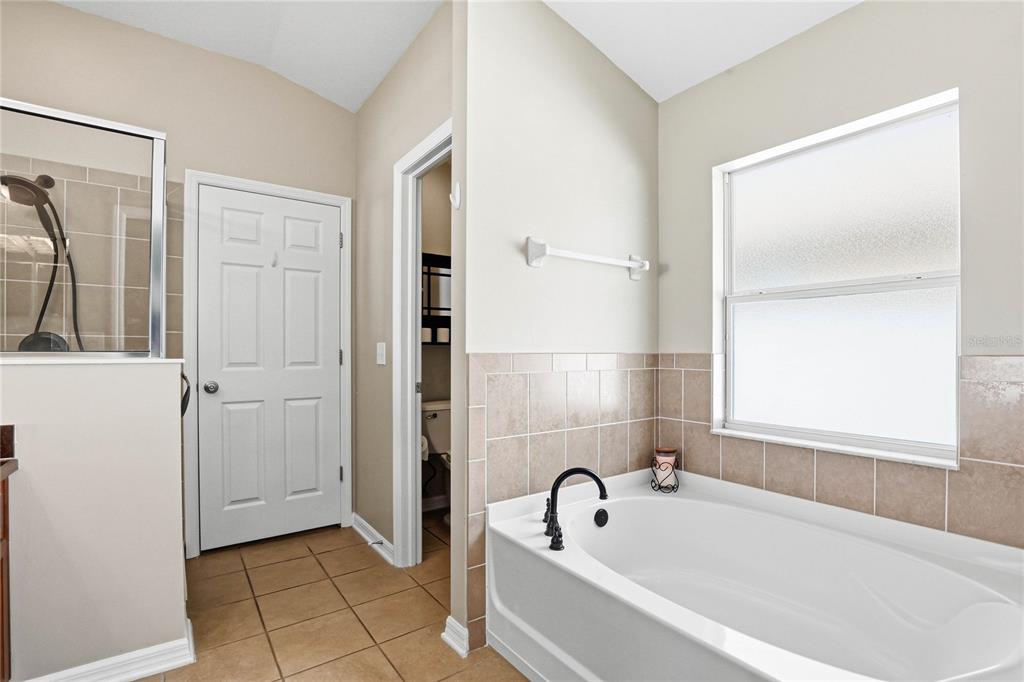 34139 Spring Oak Trail Wesley Chapel, FL 33545 - Photo 31 of 60