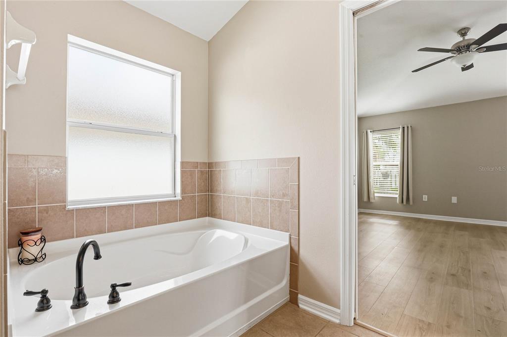 34139 Spring Oak Trail Wesley Chapel, FL 33545 - Photo 32 of 60