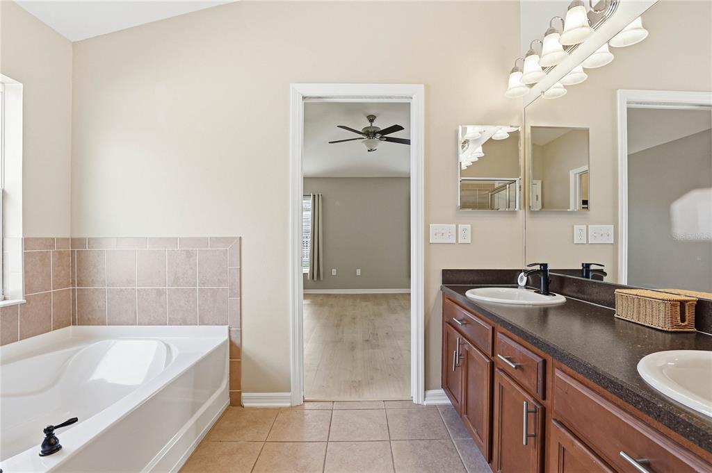 34139 Spring Oak Trail Wesley Chapel, FL 33545 - Photo 33 of 60