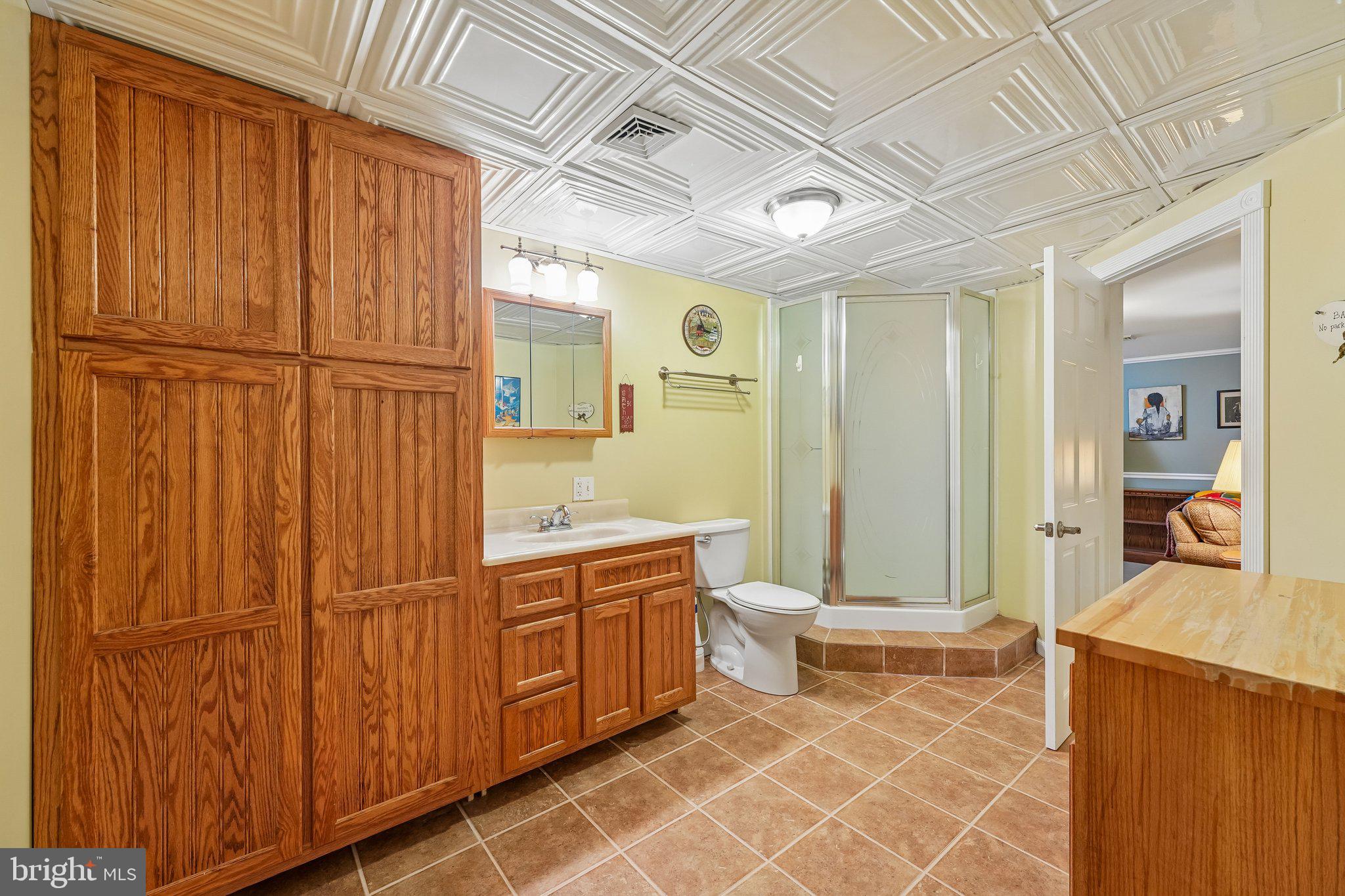 739 Ash Road Trappe, PA 19426 - Photo 29 of 51 Full Bath in Basement