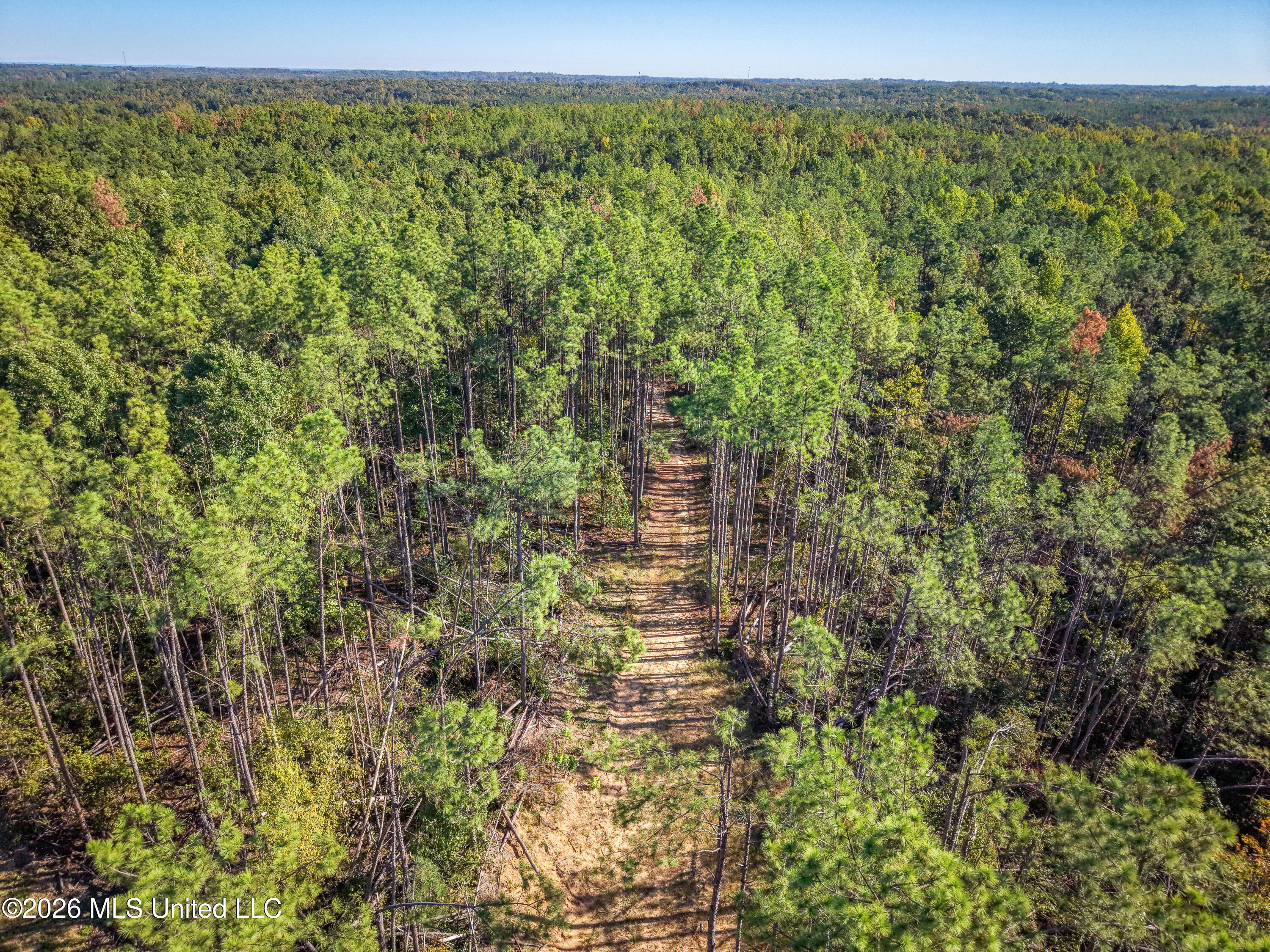 2000 Deer Creek Road Batesville, MS 38606 - Photo 16 of 54 Gary Woody Property (19)