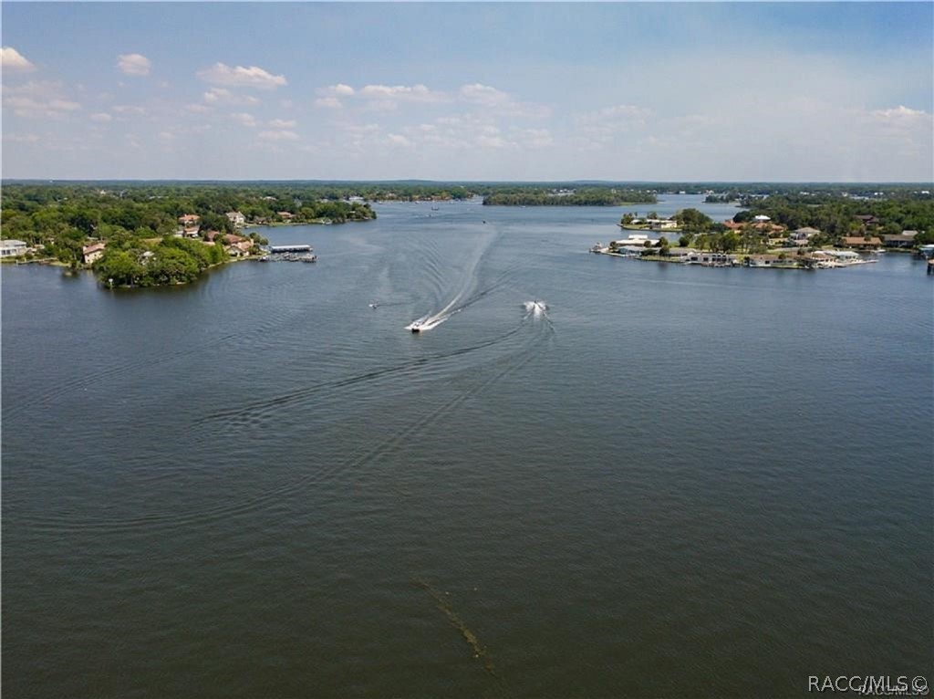 1598 West Spring Meadow Loop Lecanto, FL 34461 - Photo 71 of 74 Kings Bay of The Crystal River w/Direct Gulf Access