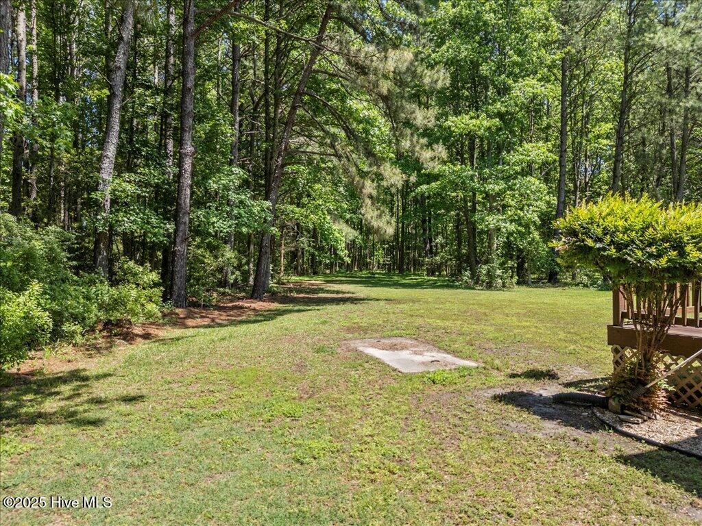 476 Paige Riddick Road Gates, NC 27937 - Photo 45 of 48 Back Yard