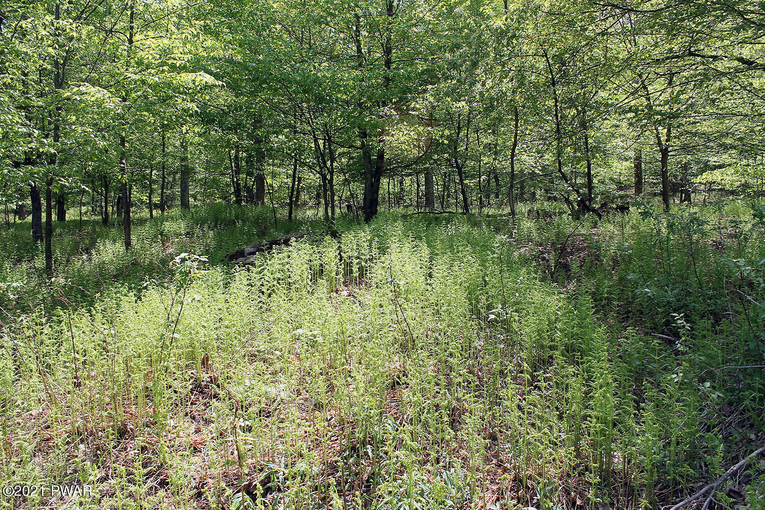 1 Robbs Road Damascus, PA 18415 - Photo 16 of 18 IMG_3529