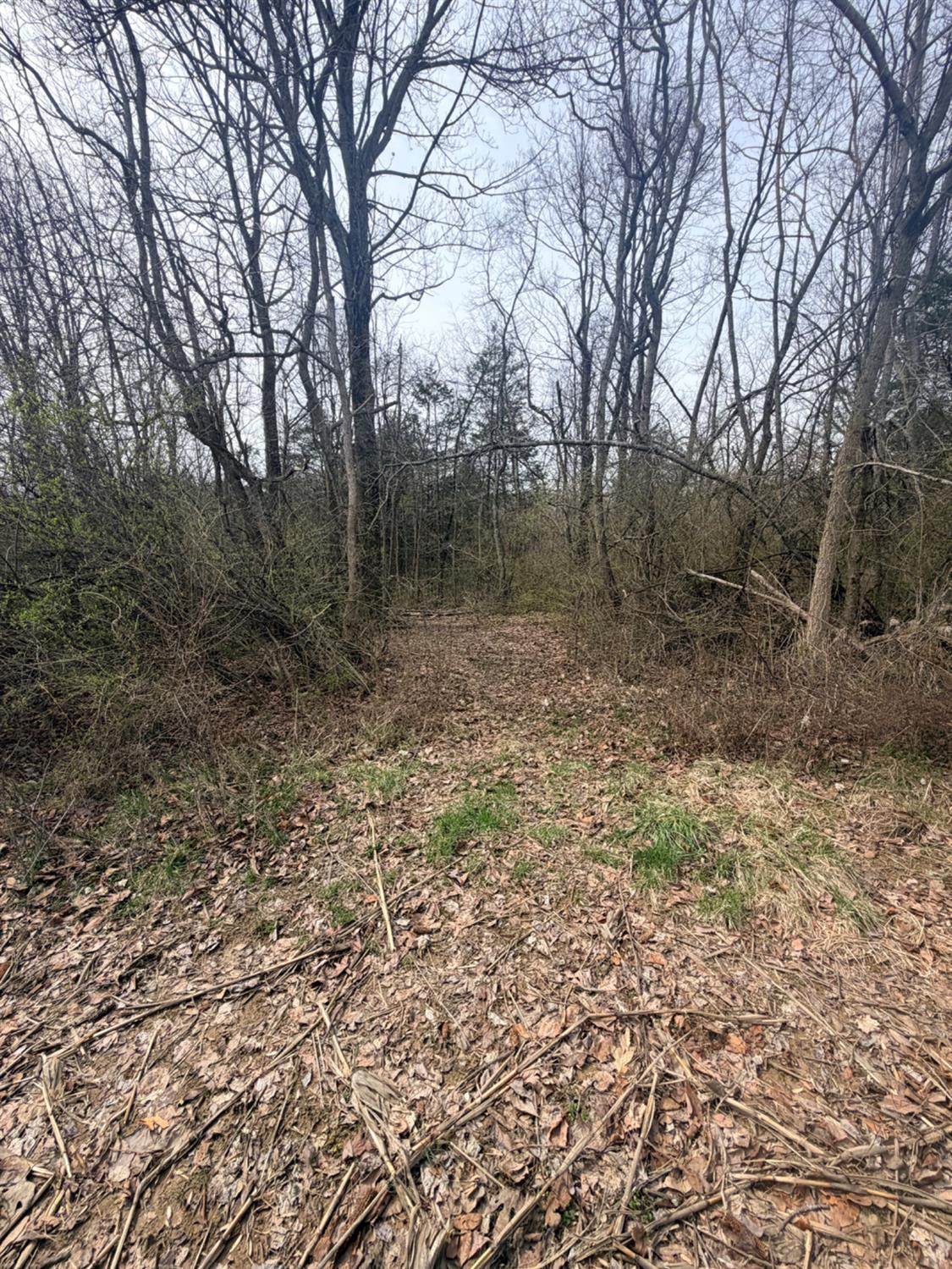 4035 Calihan Road West Harrison, IN 47060 - Photo 23 of 68